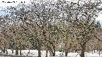takano3-20250409161045.jpg