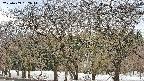 takano3-20250409162045.jpg