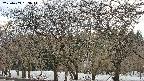 takano3-20250409163046.jpg