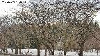 takano3-20250409164046.jpg