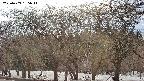 takano3-20250409165045.jpg