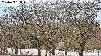 takano3-20250409170046.jpg