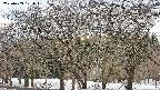 takano3-20250409171045.jpg