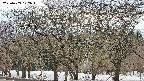 takano3-20250409172047.jpg