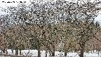 takano3-20250409173046.jpg