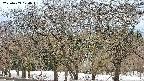 takano3-20250409174044.jpg