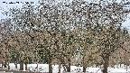 takano3-20250409175046.jpg