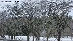 takano3-20250409181045.jpg