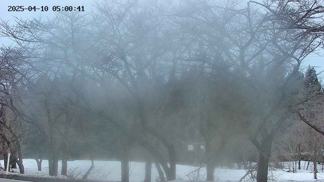 takano3-20250410050042.jpg