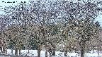 takano3-20250410051043.jpg