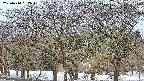 takano3-20250410052044.jpg