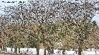 takano3-20250410053043.jpg