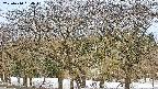 takano3-20250410054044.jpg