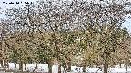 takano3-20250410055044.jpg