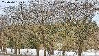 takano3-20250410061044.jpg