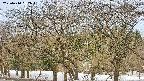 takano3-20250410062044.jpg