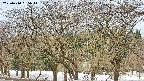 takano3-20250410065043.jpg