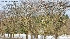 takano3-20250410070043.jpg