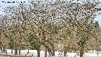 takano3-20250410071043.jpg