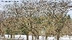 takano3-20250410072043.jpg