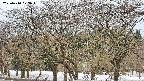 takano3-20250410073044.jpg