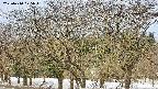 takano3-20250410075043.jpg
