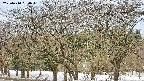 takano3-20250410080044.jpg