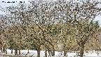 takano3-20250410083045.jpg