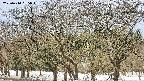 takano3-20250410095044.jpg