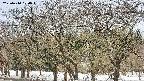 takano3-20250410100045.jpg