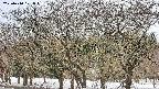 takano3-20250410101045.jpg