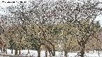 takano3-20250410103047.jpg