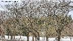 takano3-20250410104045.jpg