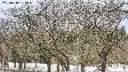 takano3-20250410105044.jpg