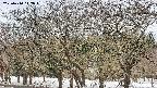 takano3-20250410112046.jpg