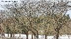 takano3-20250410114045.jpg