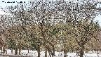 takano3-20250410120046.jpg