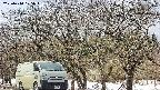 takano3-20250410125045.jpg