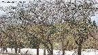 takano3-20250410135044.jpg