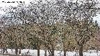 takano3-20250410143046.jpg