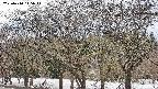 takano3-20250410145045.jpg