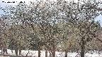 takano3-20250410154045.jpg
