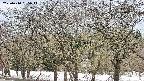takano3-20250410155044.jpg