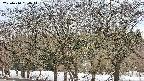 takano3-20250410164045.jpg