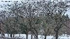 takano3-20250410181045.jpg