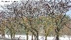 takano3-20250411064043.jpg