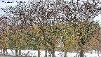 takano3-20250411073043.jpg