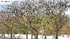 takano3-20250411091046.jpg