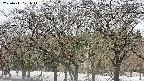 takano3-20250411121046.jpg