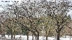 takano3-20250411122046.jpg